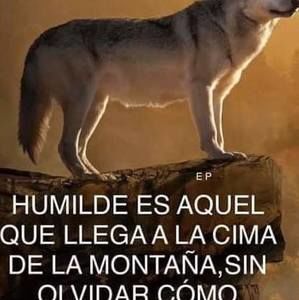 Meet your Posher, Manfredo